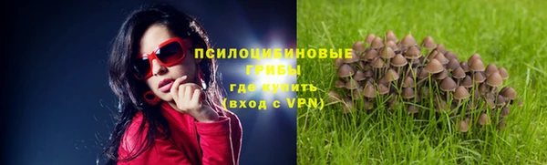 сатива Аркадак