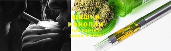 ПСИЛОЦИБИНОВЫЕ ГРИБЫ Арсеньев