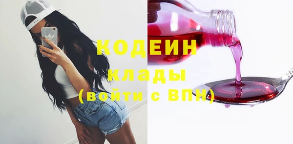 ПСИЛОЦИБИНОВЫЕ ГРИБЫ Арсеньев