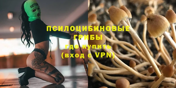сатива Аркадак