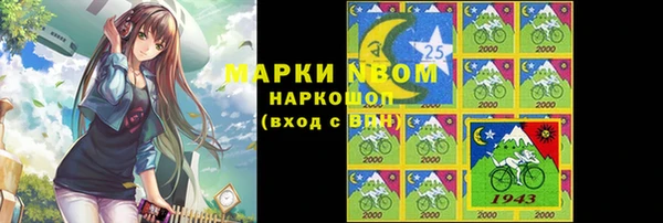 сатива Аркадак